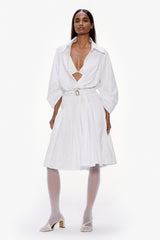 Barrel Sleeve Pleated Dress