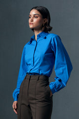 Pleated Sleeve Shirt