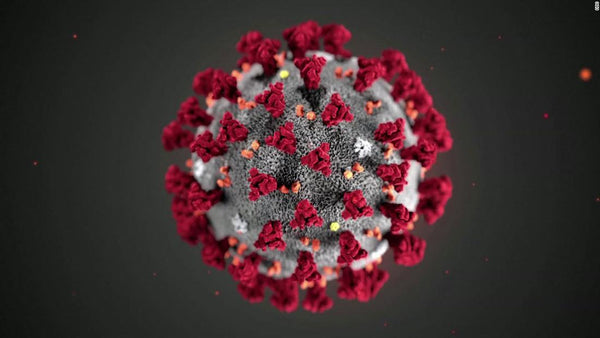 TOGETHER WE CAN: Corona Virus and Preventive Measures - Qua