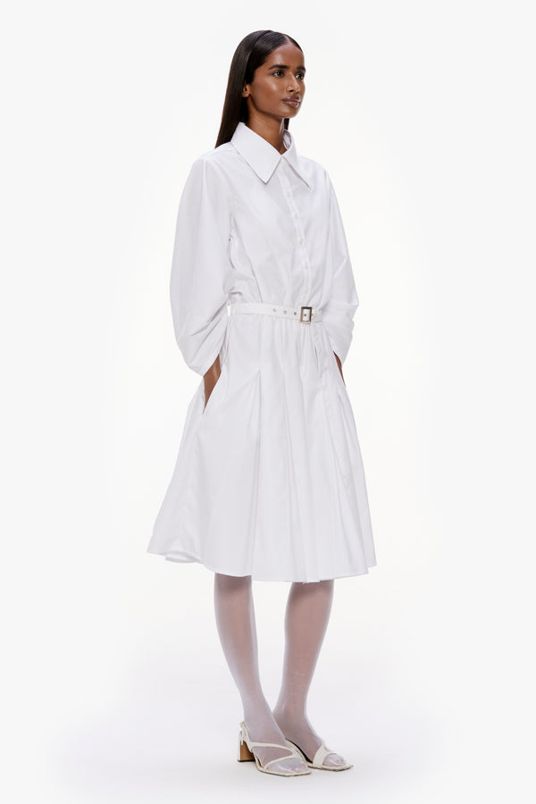Barrel Sleeve Pleated Dress