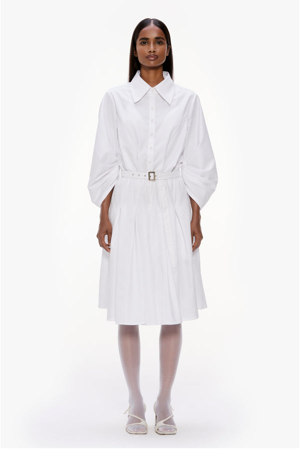 Barrel Sleeve Pleated Dress