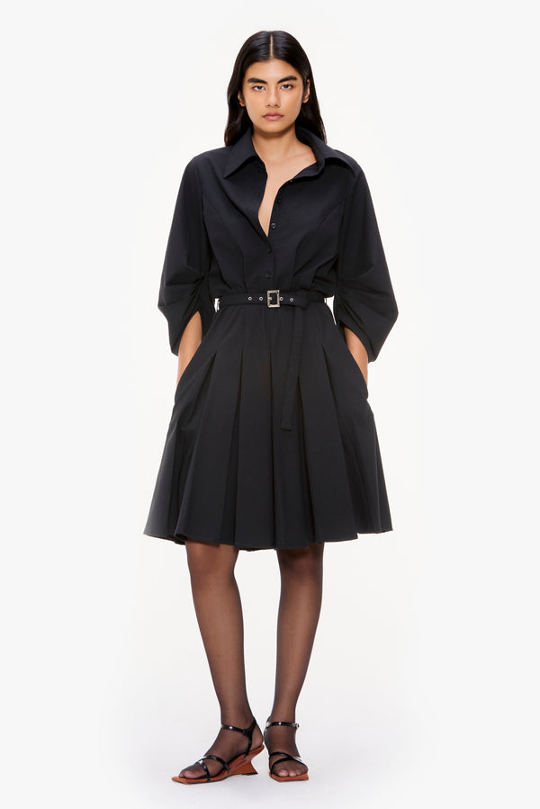 Barrel Sleeve Pleated Dress
