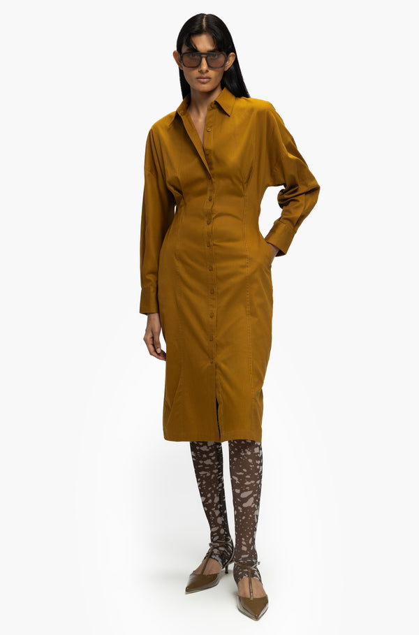 Contoured Shirt Dress