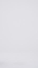 Smocked Chiffon Cropped Blouse