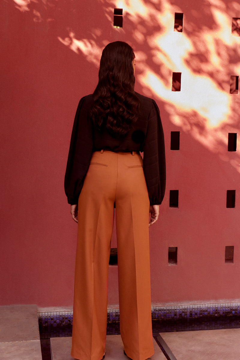 Wide-Leg Pleated Trousers